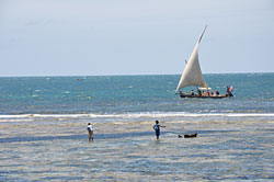 Kenya. Побережье Индийского океана в районе Килифи