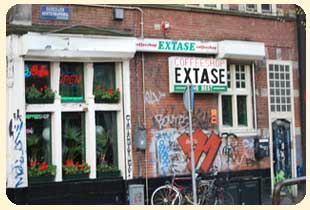 Амстердам. Coffeeshop EXTASE
